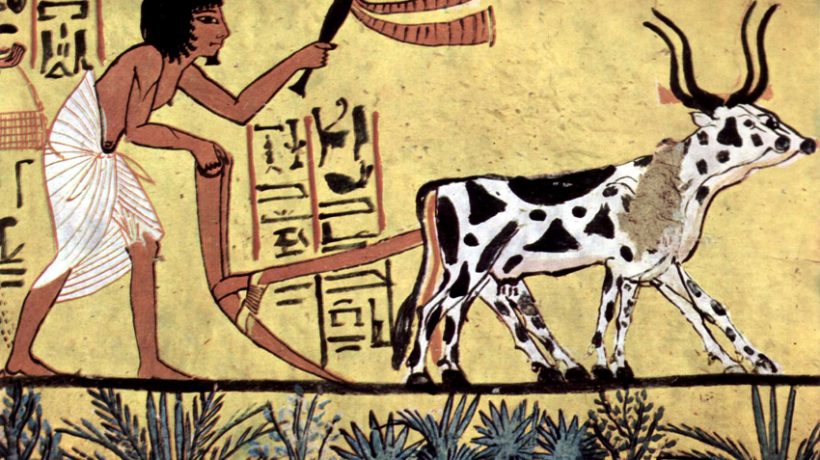 Agricultural engineering funding confirmed for global hub