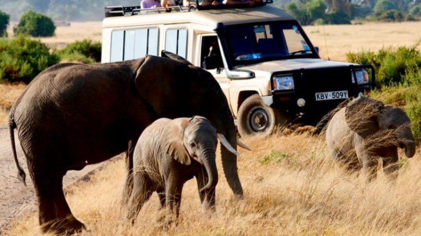 What to Expect on an African Safari for first timers