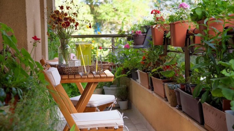 7 TIPS TO BE AN EXPERT OF URBAN GARDENING