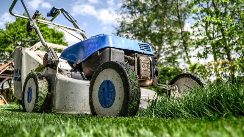 5 Tips for Keeping Your Lawn Green in The Summer Heat