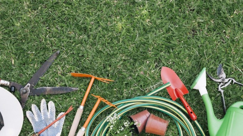 Basic tools for beginner gardeners