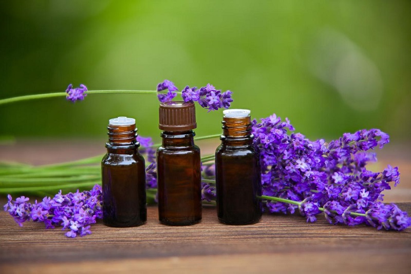 Lavender essential oil