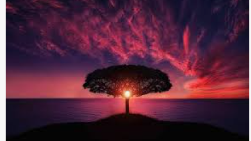 How those with Cerebral Palsy might need support