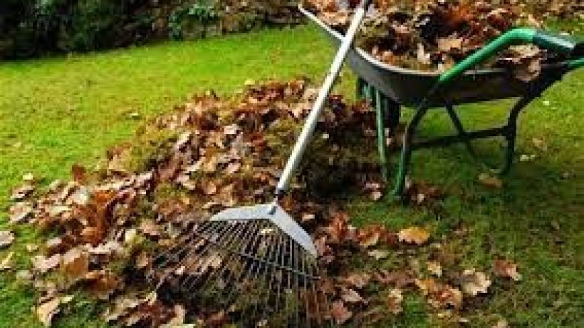 Things to do in the Garden Now to Make it Great this Summer