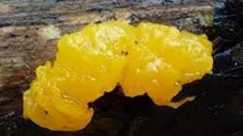 Getting Out in Nature in the Autumn and the Winter