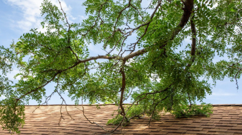 Four Common Property Disputes