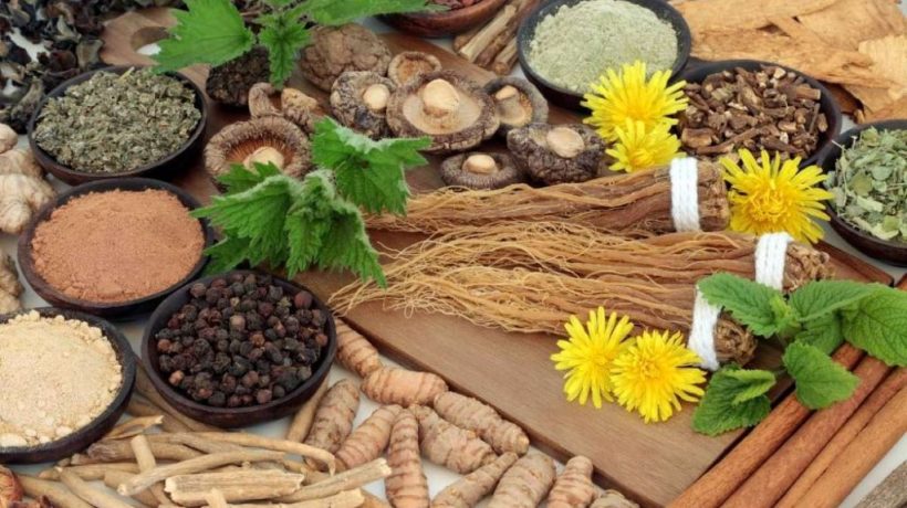 The Complete Guide to Adaptogens: Nature’s Answer to Modern Stress Management
