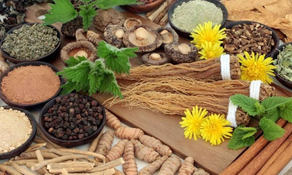 A variety of adaptogenic herbs and supplements displayed on a wooden table, representing natural stress relief and wellness